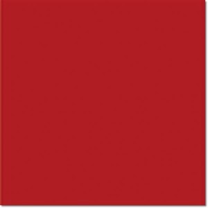 Vives Rojo Volcan 20x20 Fliese für den Boden