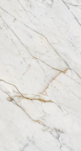 Gres marmur biały ze złotą żyłą Marazzi Grande M.Look Golden White mat 60x120 93878