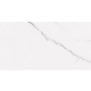Baldocer Polaris Brillo Wandfliesen 30x60