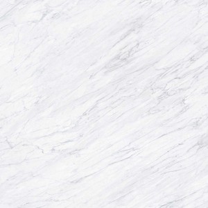 Casalgrande Padana Marmoker Carrara Lucido 120x120: Gres Fliesen Marmoroptik