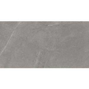 Colorker Madison Argent 59,5x119,2 cm Fliesen