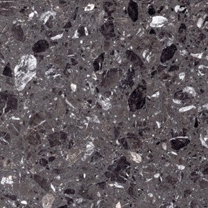 Casalgrande Padana Macro Carnico Lucido 120x120: Gres Fliesen, Terrazzo Optik