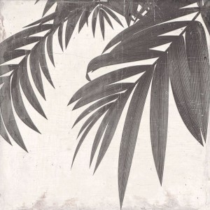Keros Decorado Botanic 25x25 Fliese aus Feinsteinzeug