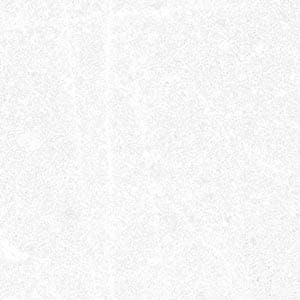 Vives Seine Corneille-R Blanco 15x15 Steinzeugfliesen