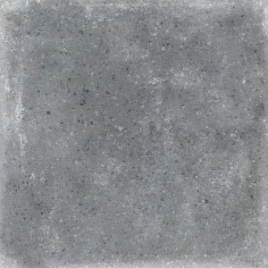 Vives Orchard Grafito 20x20 Betonimitat Fliese