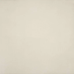 Colorker Evidence Beige 60x60 Fliesen