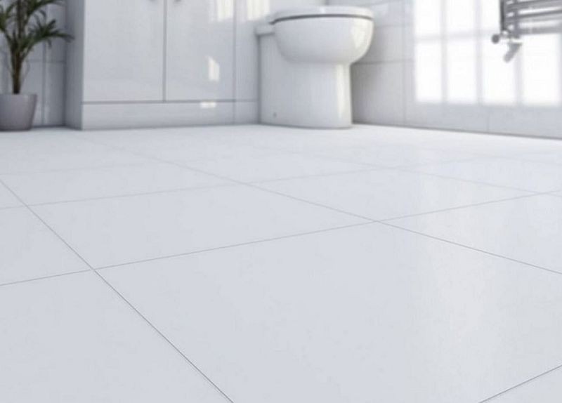 Blanco Brillo 60x60 płytka gresowa 118133